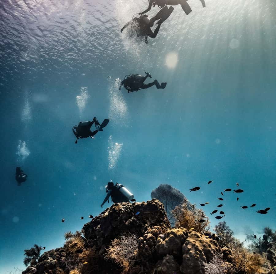 San Andres: Scuba Diving Experience with Hotel Pickup - Why this San Andrés scuba outing works for beginners