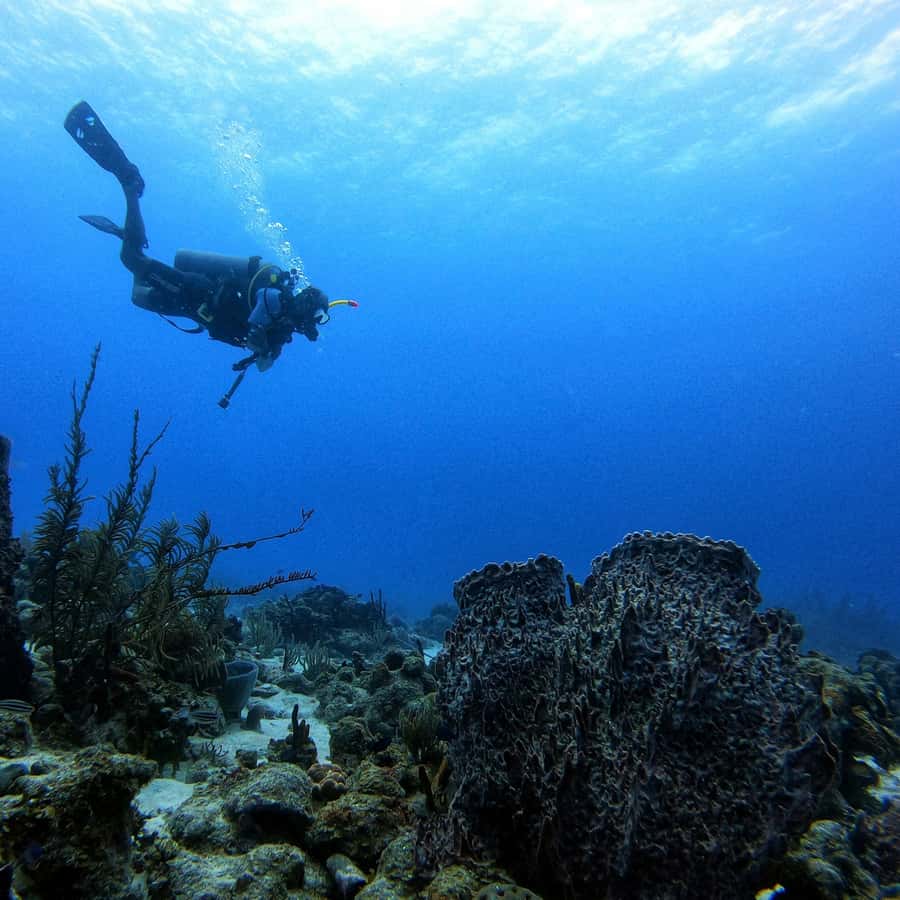 San Andres: Scuba Diving Experience with Hotel Pickup - The land lesson covers the things you need most
