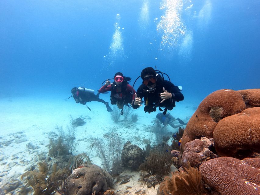 San Andres: Scuba Diving Experience with Hotel Pickup - How the instructors shape the experience