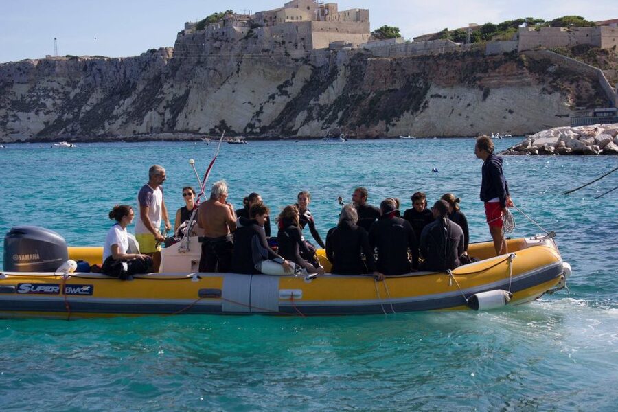 San Domino, Tremiti: try scuba, first diving experience - Who will enjoy this experience most