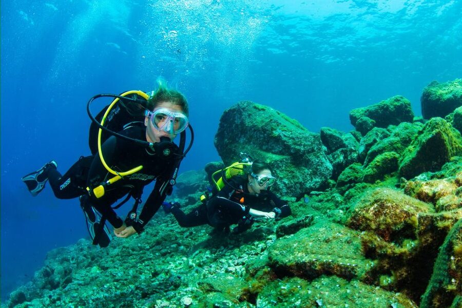 Santa Cruz de Tenerife: Beginner's Diving & Introduction - Quick reasons to consider this experience