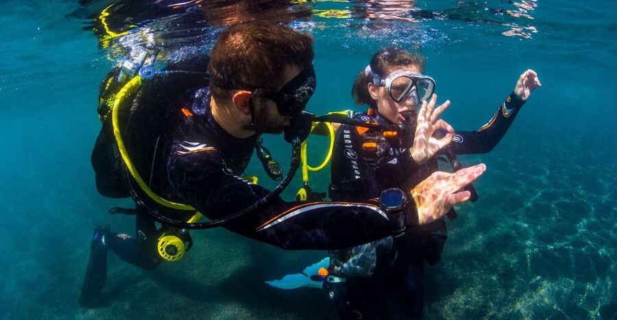 Santa Cruz de Tenerife: Beginner's Diving & Introduction - What the $89 price really gets you