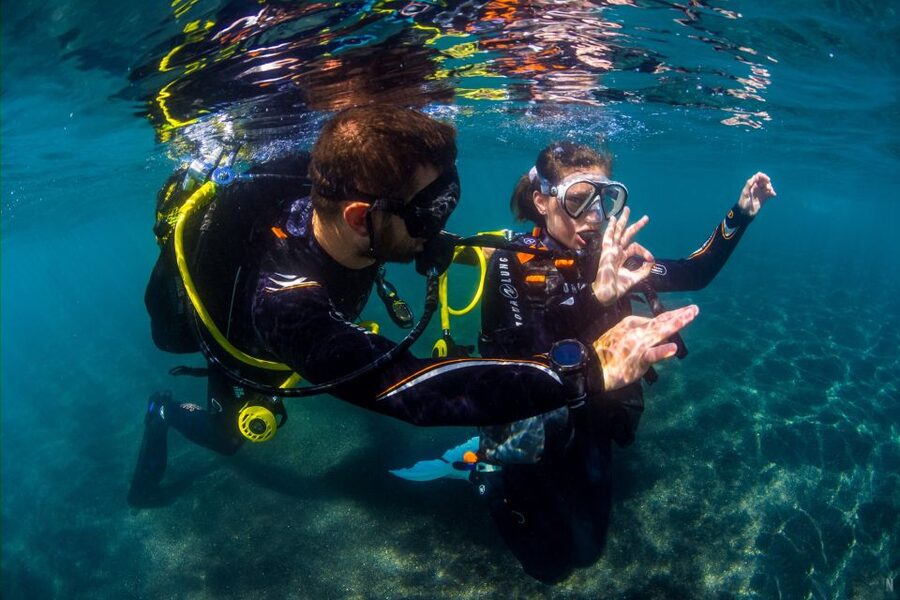 Santa Cruz de Tenerife: Beginner's Diving & Introduction - The first hour: learning the equipment