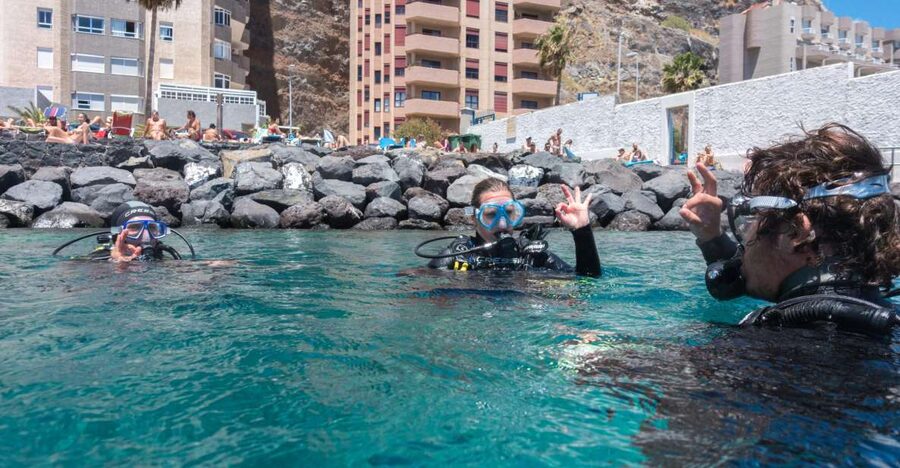 Santa Cruz de Tenerife: PADI Introductory Dive - Key Points Before You Book