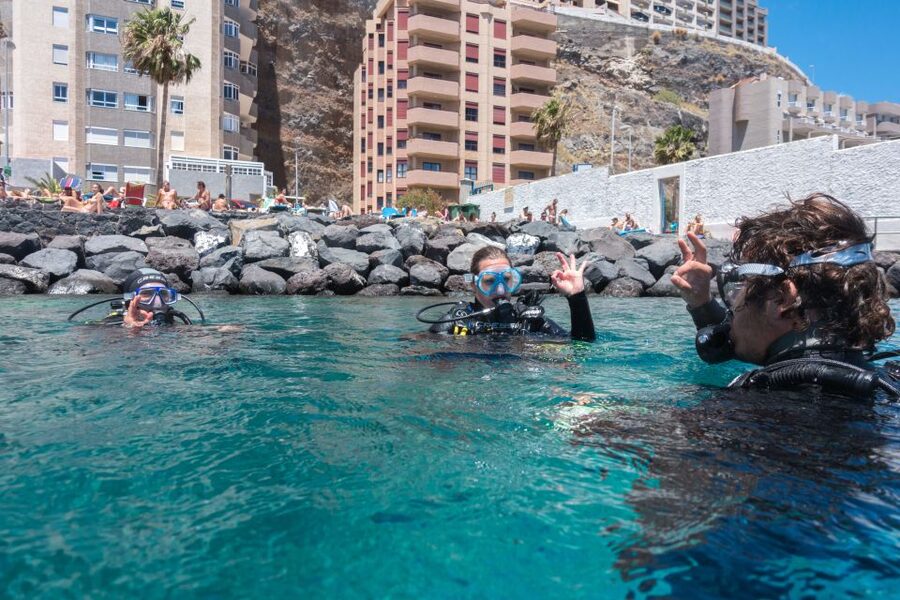 Santa Cruz de Tenerife: PADI Introductory Dive - Getting Comfortable With the Scuba Kit