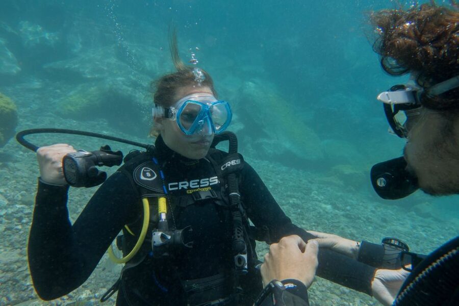 Santa Cruz de Tenerife: PADI Introductory Dive - Who Will Enjoy This Most?