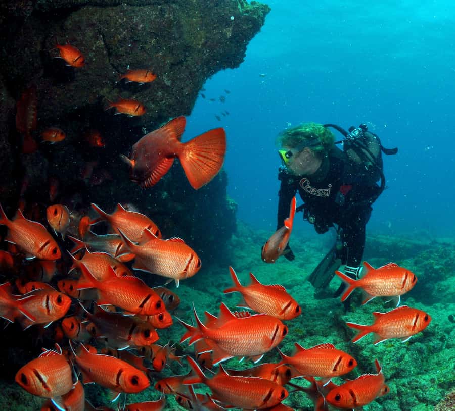 Santa Maria: Discover Scuba Diving - What the Santa Maria experience is really like