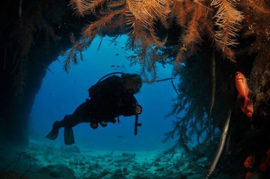 Santa Maria: Half-Day Diving Trip in Sal with Pickup - What the marine setting offers