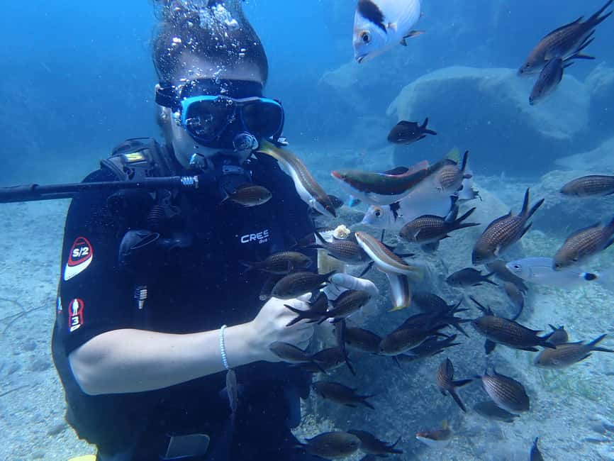 Santorini: Scuba Diving - Five things to know before booking