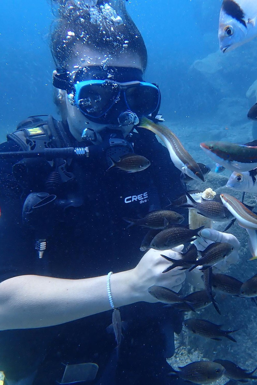 Santorini: Scuba Diving - Who should book this Santorini experience