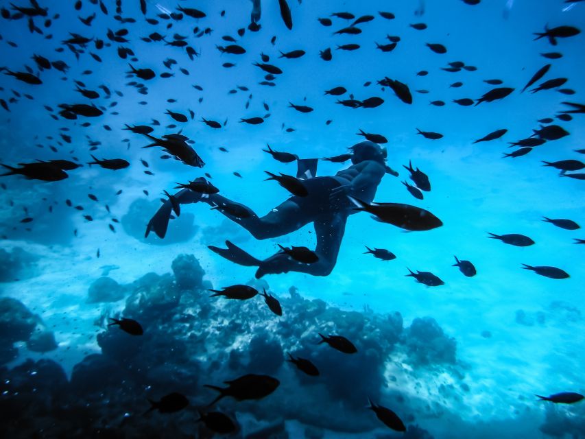 Santorini: Scuba Diving Experience for Beginners - From Oia’s Post Office Square to Amoudy Bay