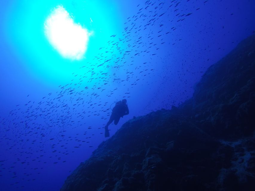 Santorini: Scuba Diving Experience for Beginners - What the underwater session is really like