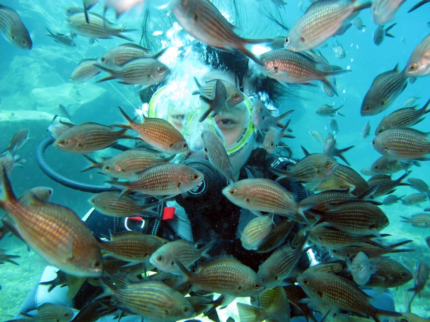 Santorini: Scuba Diving Experience for Beginners - Practical details that can make or break the day