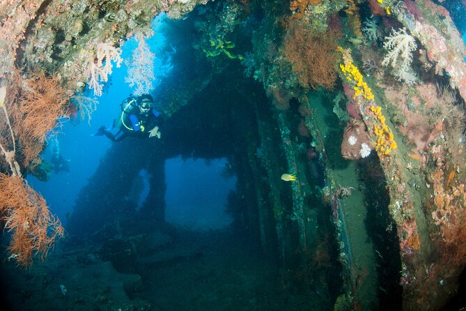 Sanur Open Water Course learn diving in 3 Days - Get certified & Dive everywhere - What the $480 price really covers