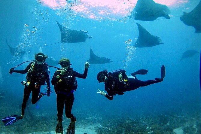 Sanur Open Water Course learn diving in 3 Days - Get certified & Dive everywhere - Day one in Sanur: learning the essentials in a pool