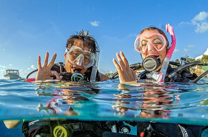 Saona Diving - A guide who stays close to the experience