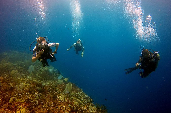 Saona Diving - How active and demanding is the outing?