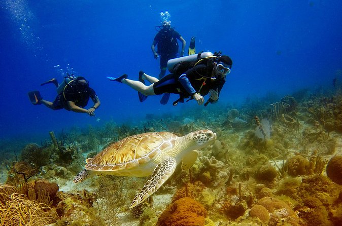 Saona Diving - What makes the day feel authentic