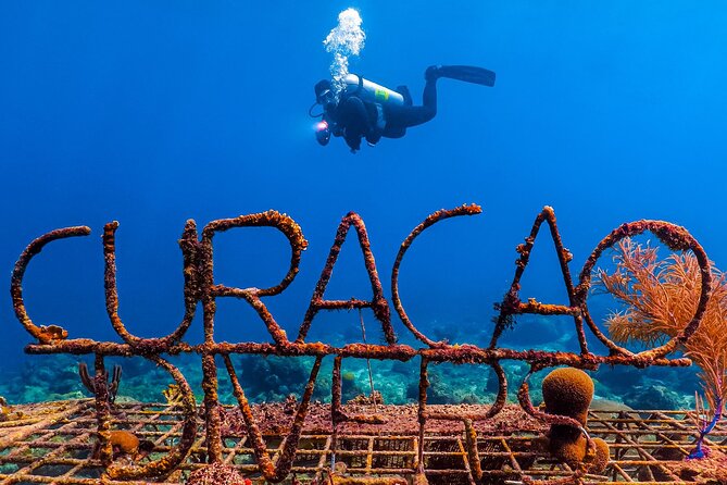 Scuba Beginner Diving and Snorkeling with Lunch From Hurghada - Leaving Hurghada early for the Red Sea