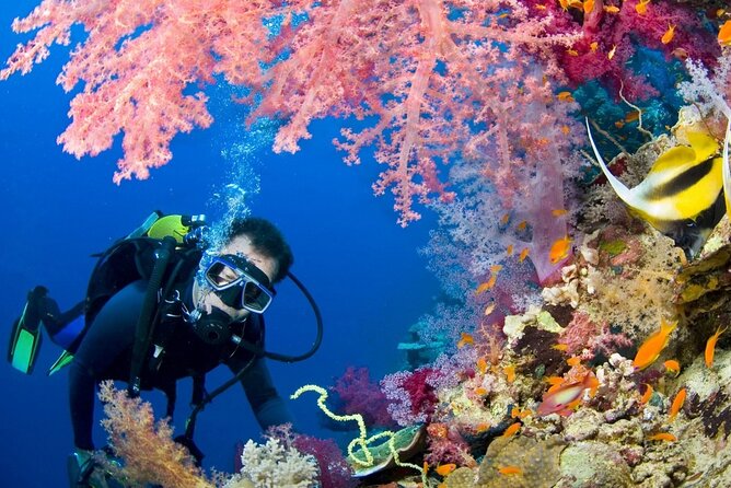 Scuba Beginner Diving and Snorkeling with Lunch From Hurghada - Two underwater stops for first-time scuba guests