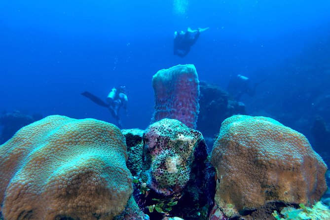 Scuba Certification - What certification means after the course