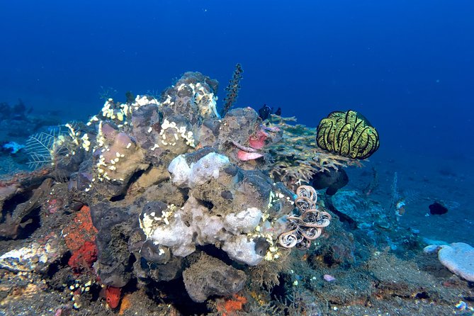Scuba Certification - Scheduling, group size, and physical demands