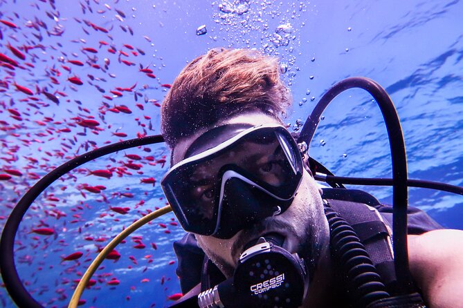 Scuba Dive and Explore Aqaba's Red Sea with a Private Guide - The tank and Seven Sisters wreck