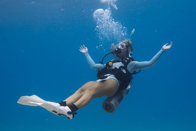 Scuba Dive at Electric Beach - Is $145 a fair price?