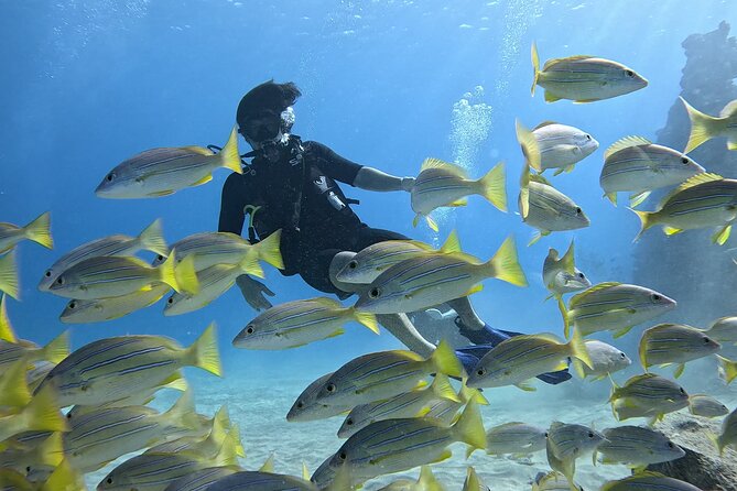 SCUBA Dive at Electric Beach with Photos -No Certification Needed - Key points to know before booking