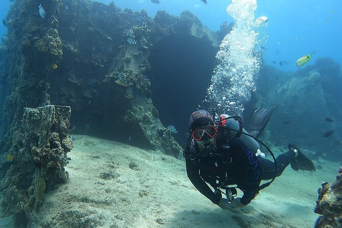SCUBA Dive at Electric Beach with Photos -No Certification Needed - The people leading the experience