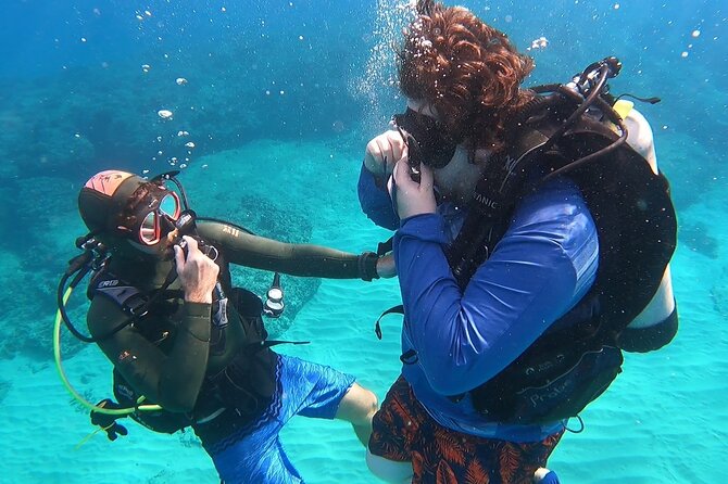 SCUBA Dive at Electric Beach with Photos -No Certification Needed - Meeting at Kahe Point Beach Park