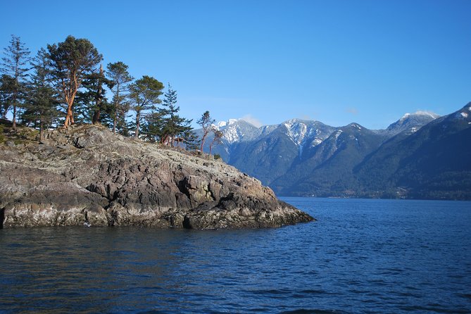 Scuba Dive Boat Charter in Vancouver (Certified Divers Only!) - Exploring the HMCS Annapolis artificial reef