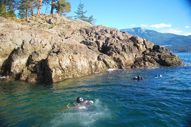 Scuba Dive Boat Charter in Vancouver (Certified Divers Only!) - Rental gear, tanks, and the real cost