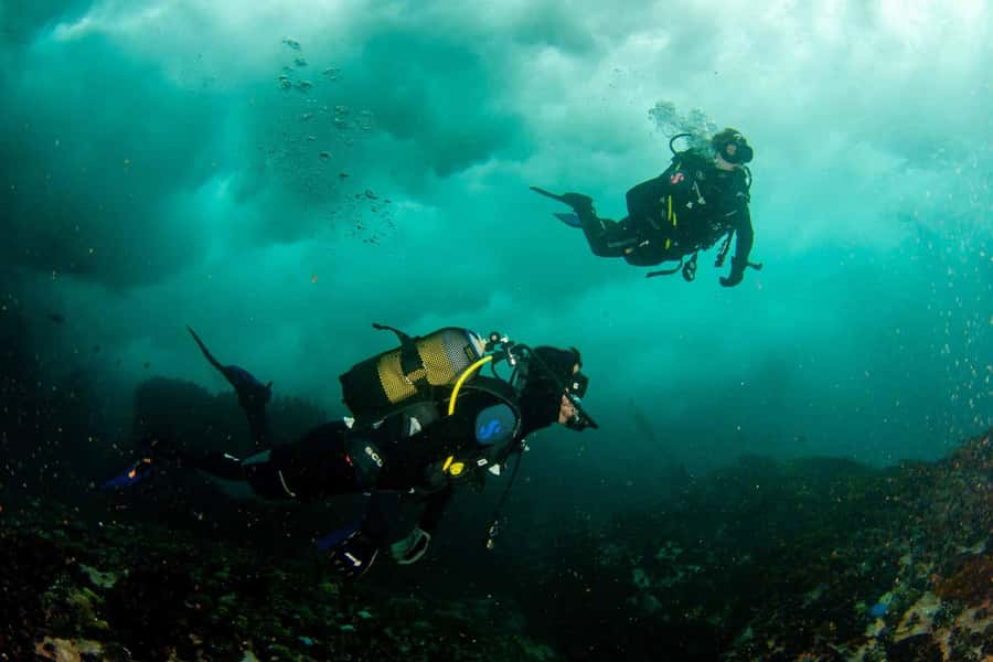 Scuba Dive in Cape Town: 2 Dives for certified divers - Returning to Simon’s Town and reviewing what you saw