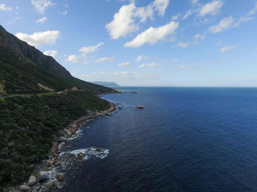 Scuba Dive in Cape Town: 2 Dives for certified divers - What is included for the $205 price