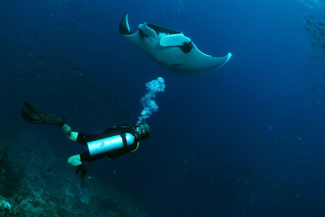 Scuba Dive in Koh Lanta, Thailand - Why this Koh Lanta day works well for certified divers