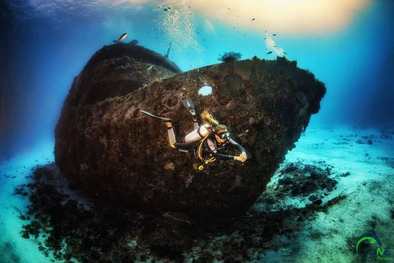 Scuba Dive in Playa del Carmen - 2 Dives (Certified divers) - What the first one-hour underwater session is like