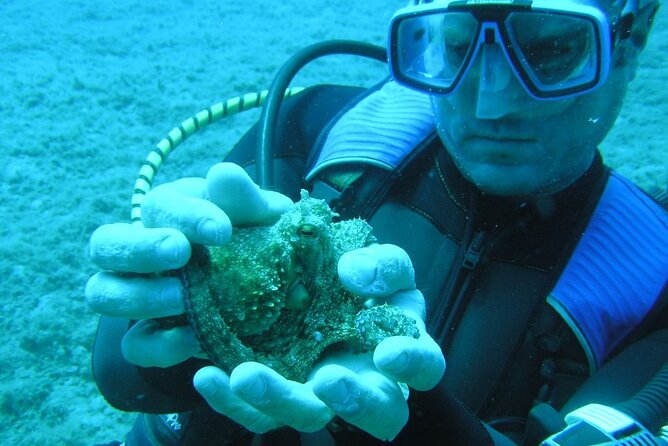 SCUBA DIVE: Kallithea's Underwater Exploration - What certified participants receive underwater