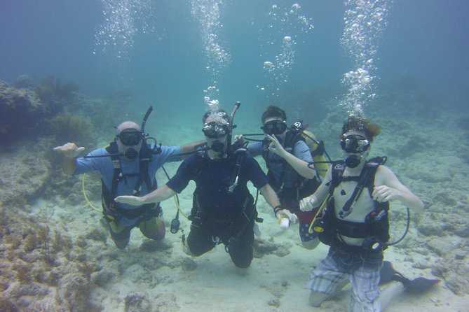 SCUBA Dive Key Largo Reef (min 6 divers) - Key points to know before you book