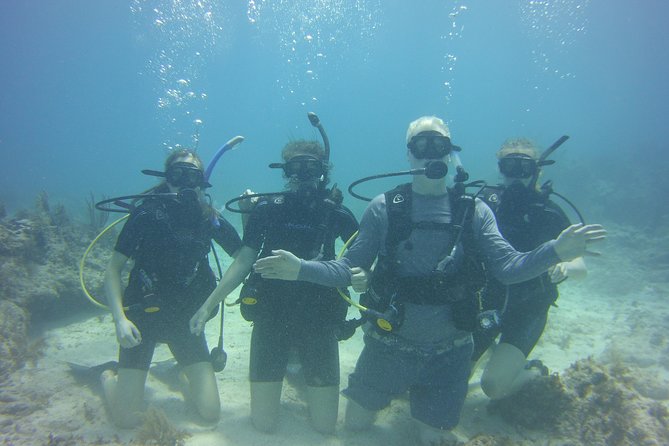 SCUBA Dive Key Largo Reef (min 6 divers) - What two one-hour reef stops give you