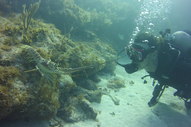 SCUBA Dive Key Largo Reef (min 6 divers) - Why the six-person limit matters