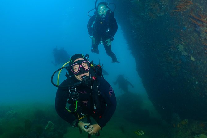 Scuba Dive The Beautiful Rottnest Island for Certified divers - Key points to know before booking