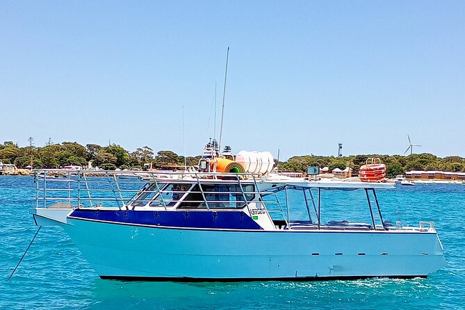 Scuba Dive The Beautiful Rottnest Island for Certified divers - Who should book this outing