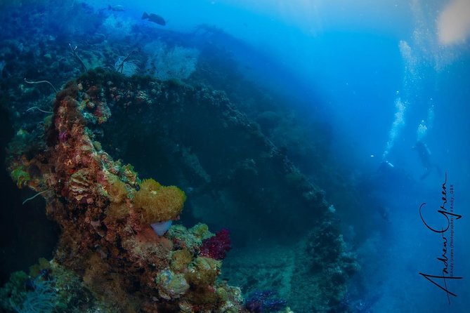 Scuba Dive the S.S. Yongala Wreck on the Great Barrier Reef. - Key points before you book