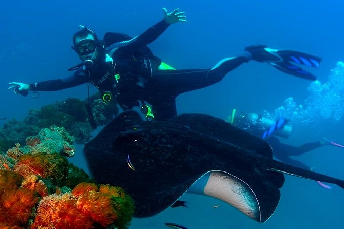 Scuba Dive the S.S. Yongala Wreck on the Great Barrier Reef. - Two descents at the Yongala wreck