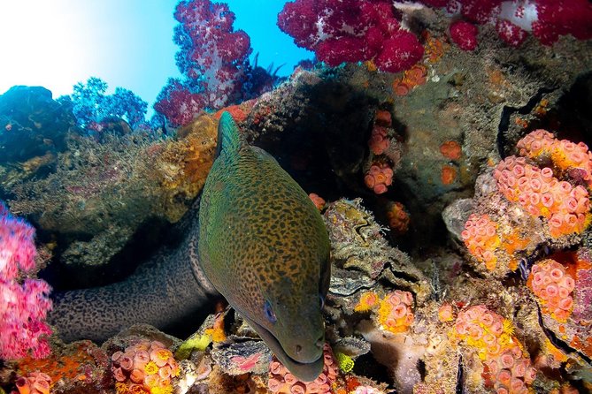 Scuba Dive the S.S. Yongala Wreck on the Great Barrier Reef. - The boat ride and onboard routine