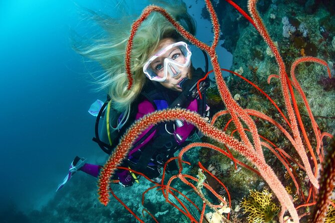 Scuba dive with sharing transfers - Key points at a glance