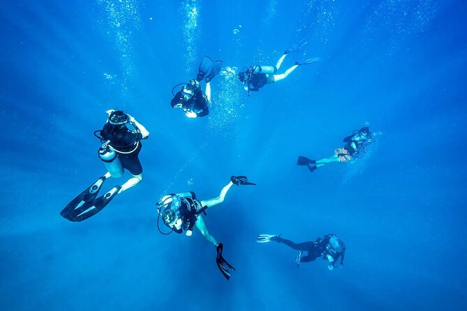 Scuba dive with sharing transfers - Is $125 a fair price?