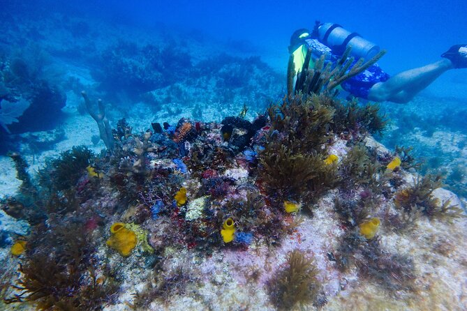 Scuba Diver Certification Course - Day one: classroom work before you touch the sea
