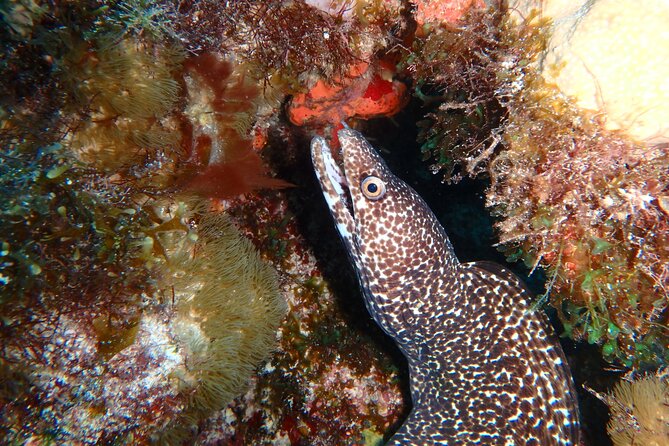 Scuba Diver Certification Course - The 20-minute boat ride to the National Marine Park